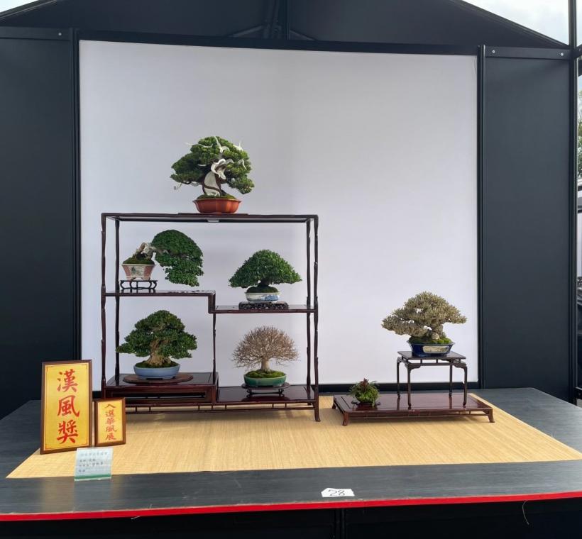 圖6. 每盆盆景皆呈現栽培者的用心及巧思，小小的盆景內展現出自然與藝術的結合。