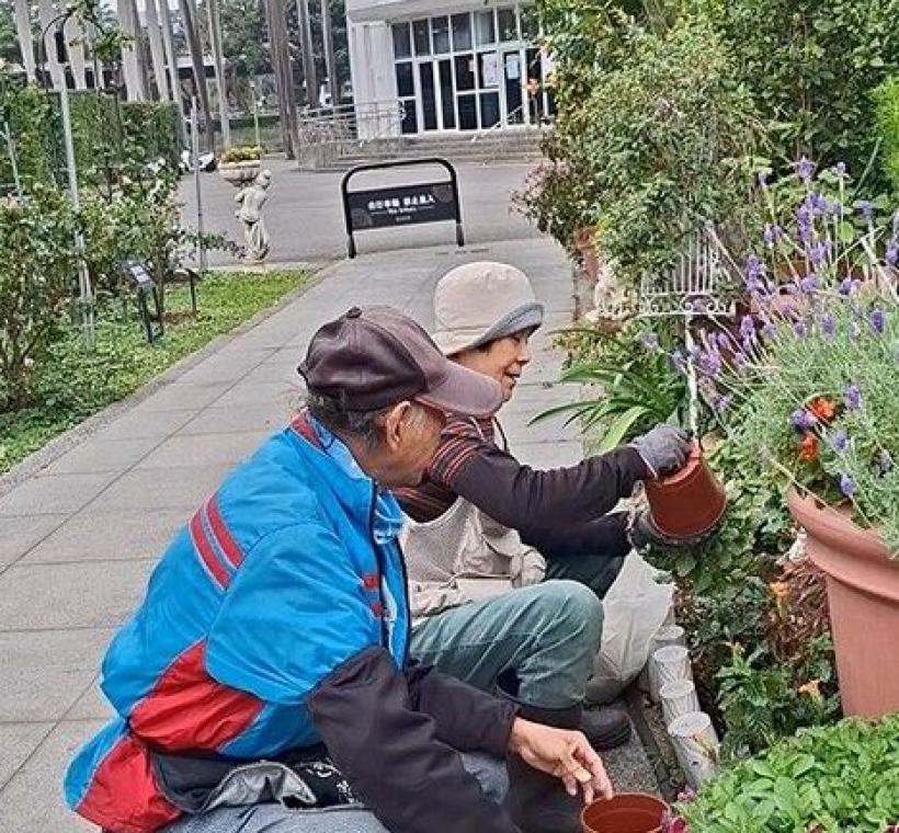 志工抓緊時間換盆