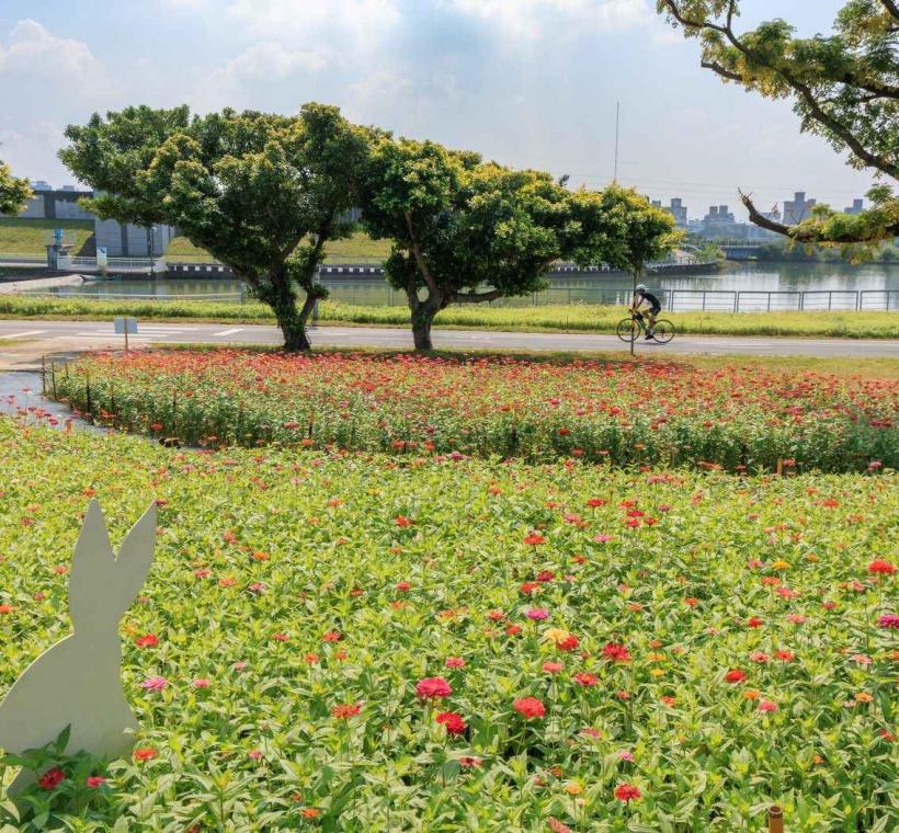 還有可愛的小動物看板現身花海，等著和遊客們一起賞花拍照