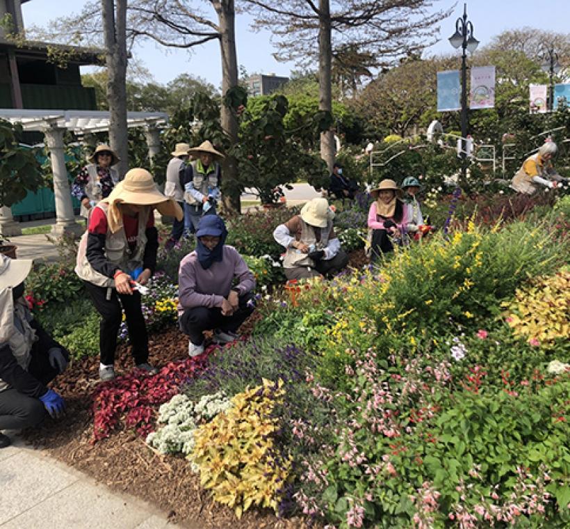 圖12 志工與同仁一同養護園藝植物佈展區。