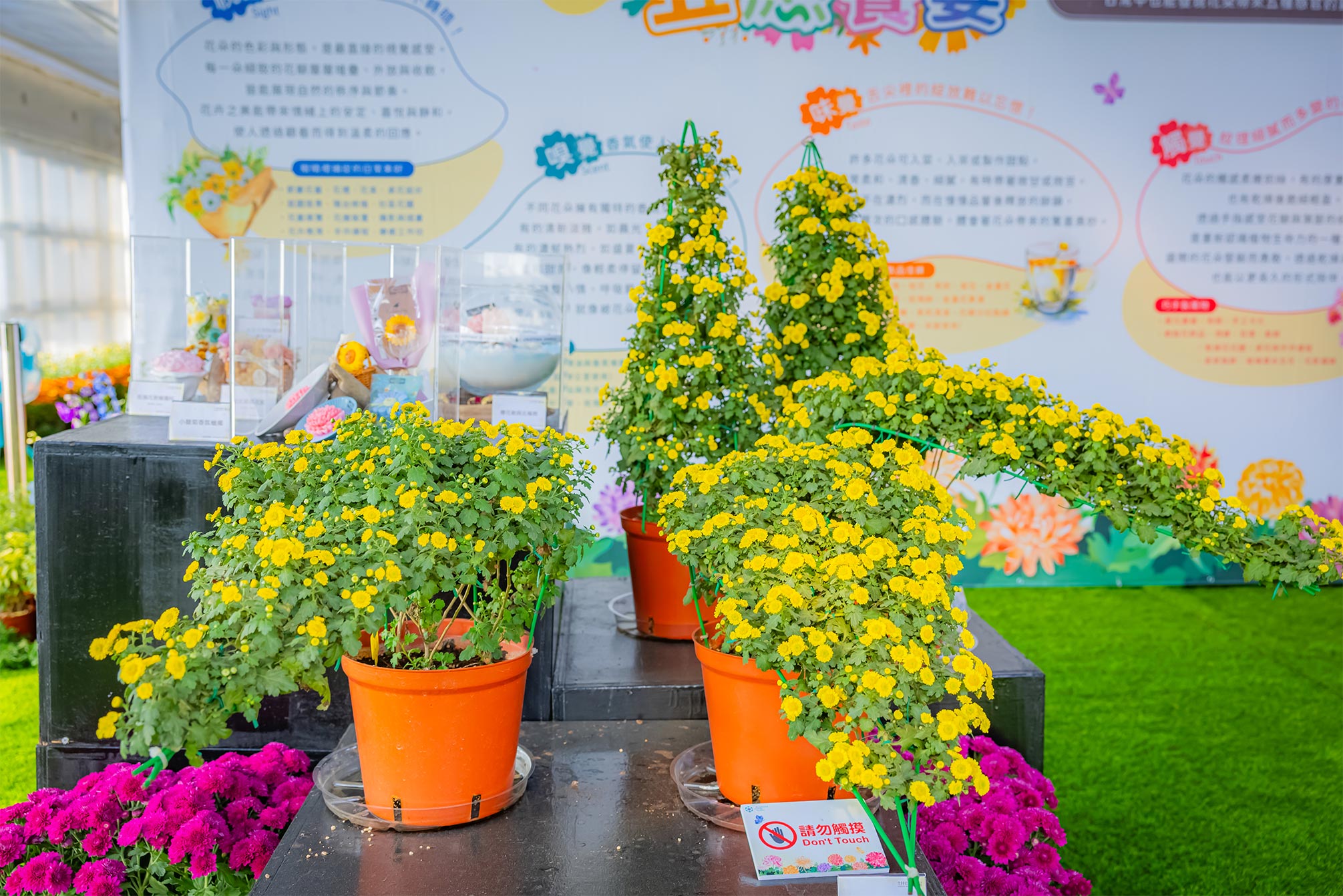 菊藝五感饗宴展區