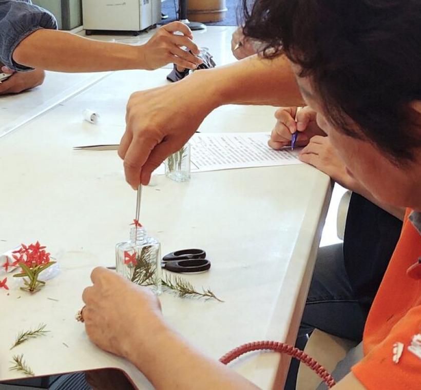 加入仙丹花增加瓶子色彩與美感。