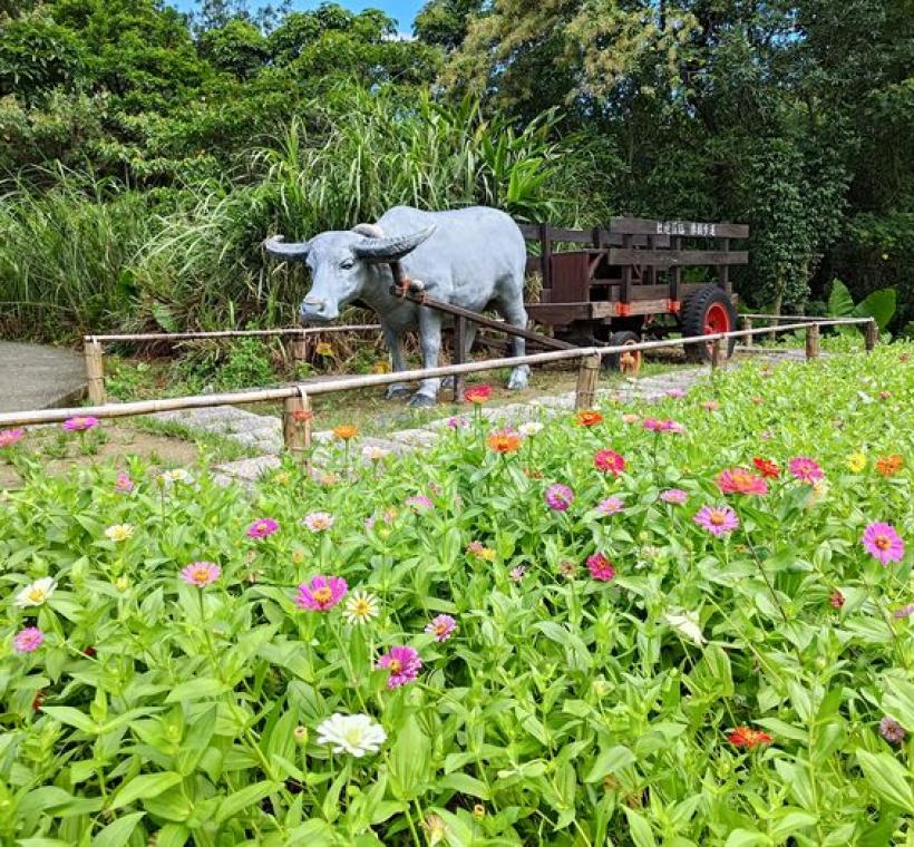 牛車花景