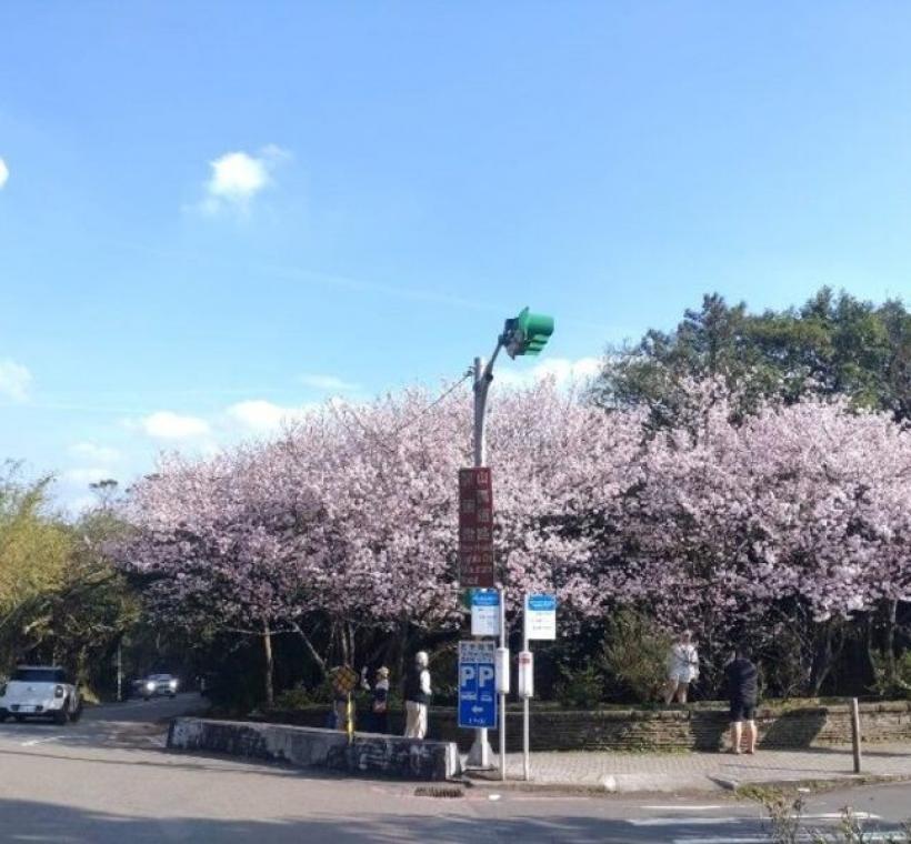 第2停車門口
