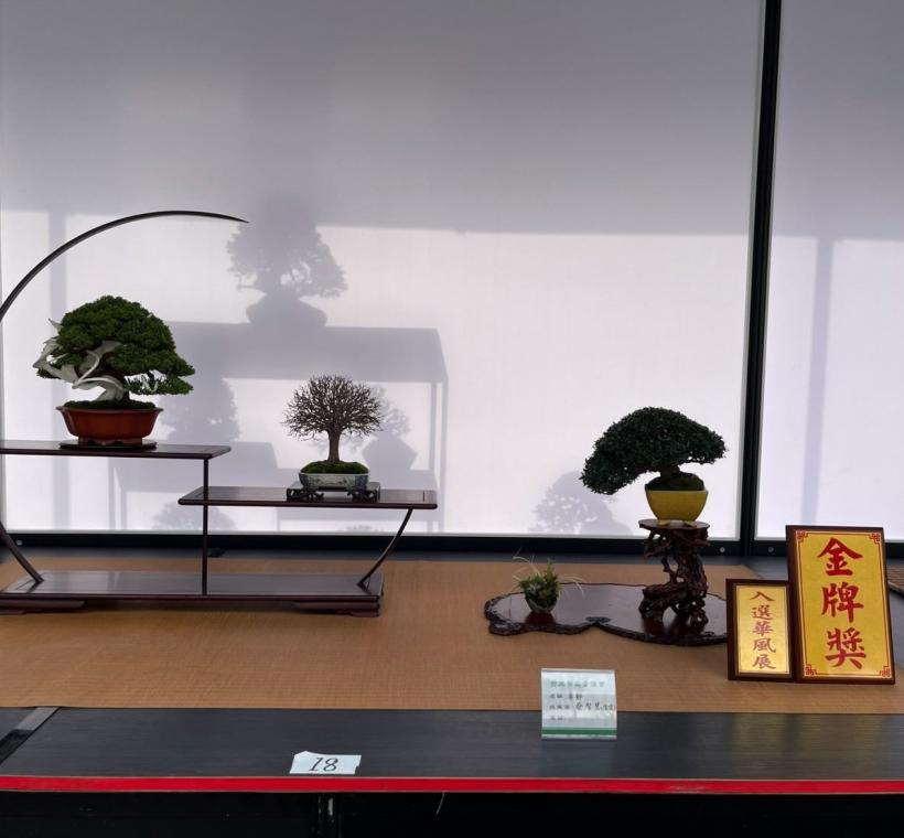 圖4. 入選華風展金牌獎蓆飾類別作品。