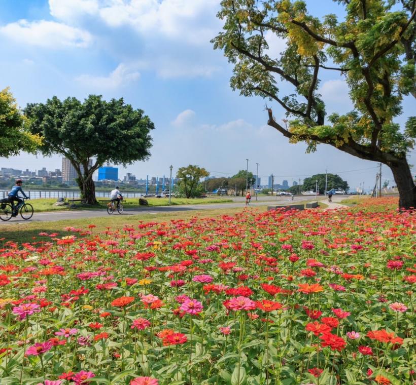 北市首波河濱花海就在河雙21號河濱公園