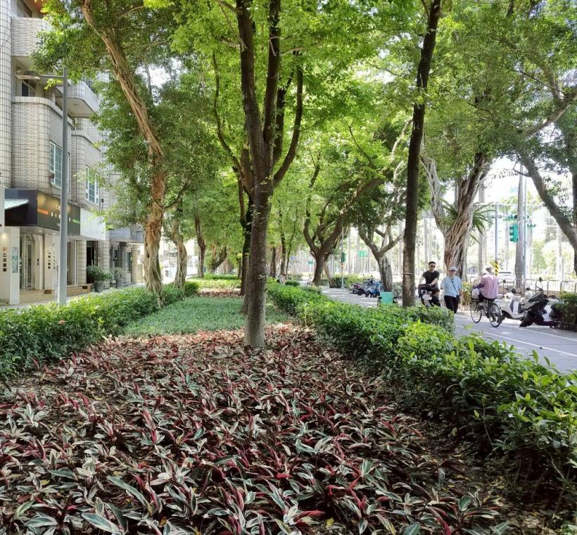 仁愛路四段植栽設計著重於「韻律性、對比與色彩」的整體組合。透過重複性配置營造視覺韻律