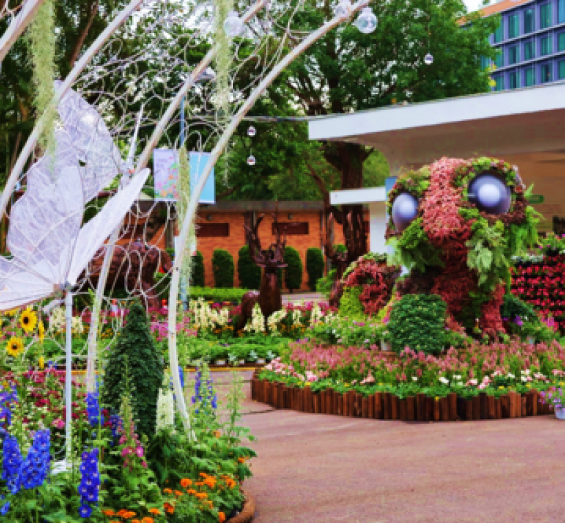 夢花園以變色龍花傻傻為主角，講述追尋自我的夢想