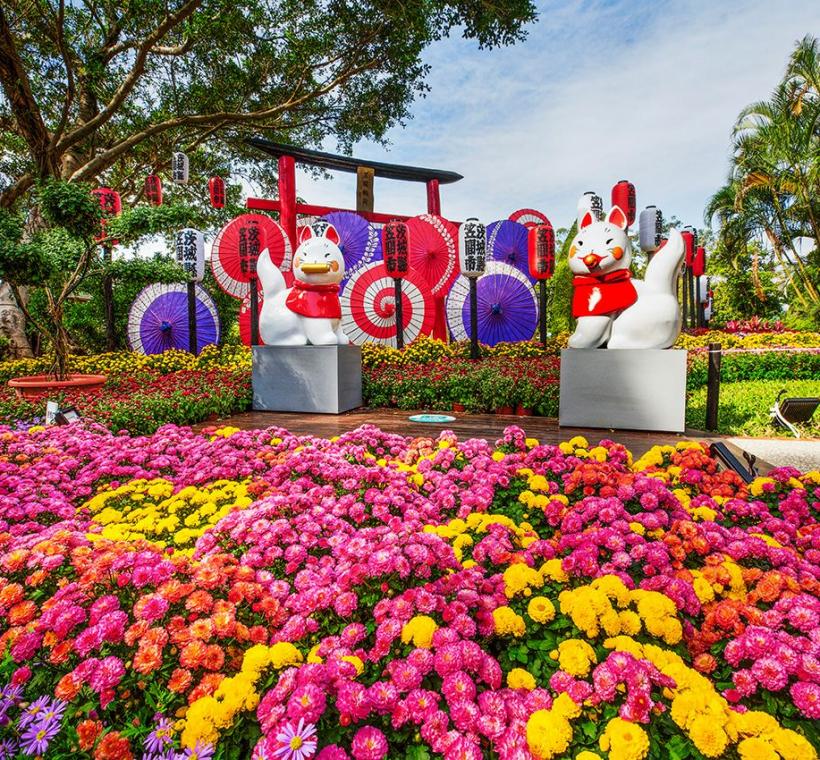 銀獎-郭美蓉-菊開祈願