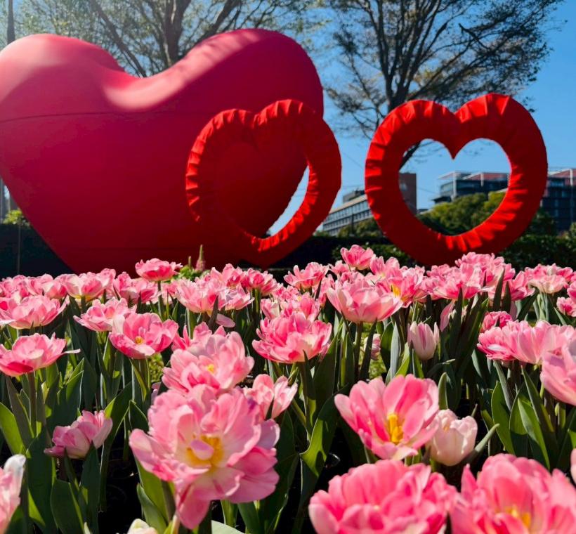 浪漫滿園邀您共賞春日美景