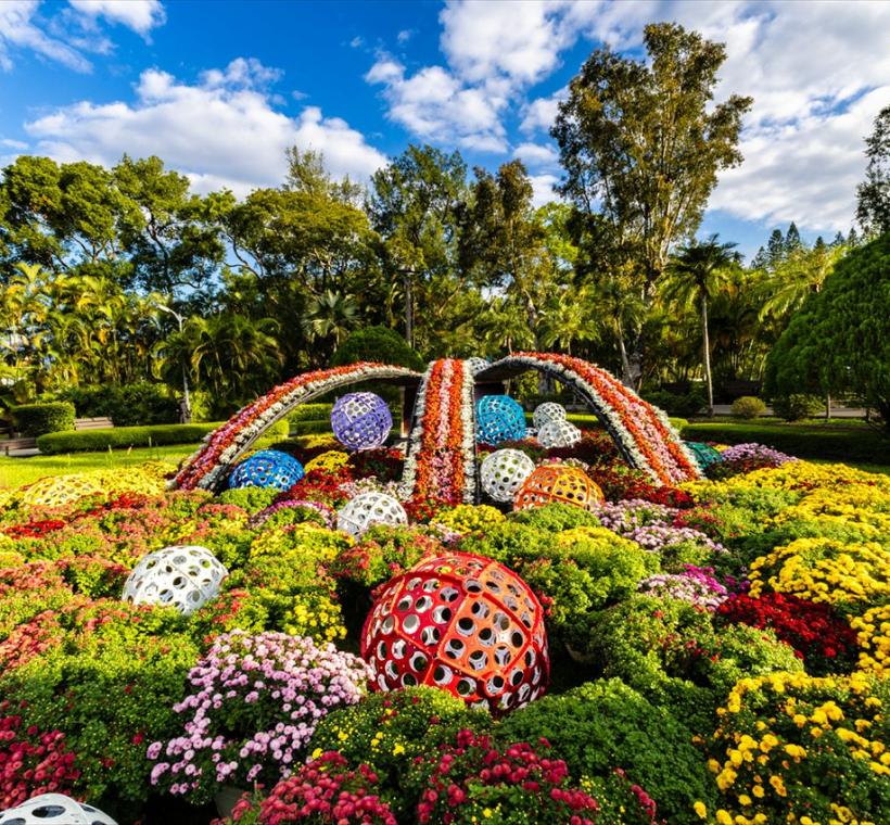 優選-藏寶箱-楊惠如