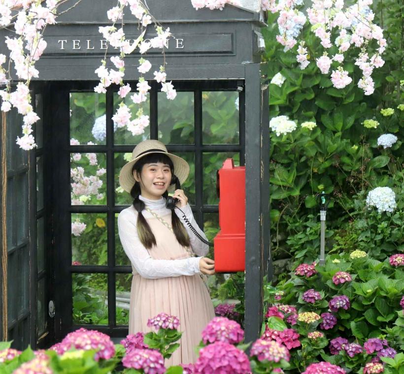 花谷海芋園