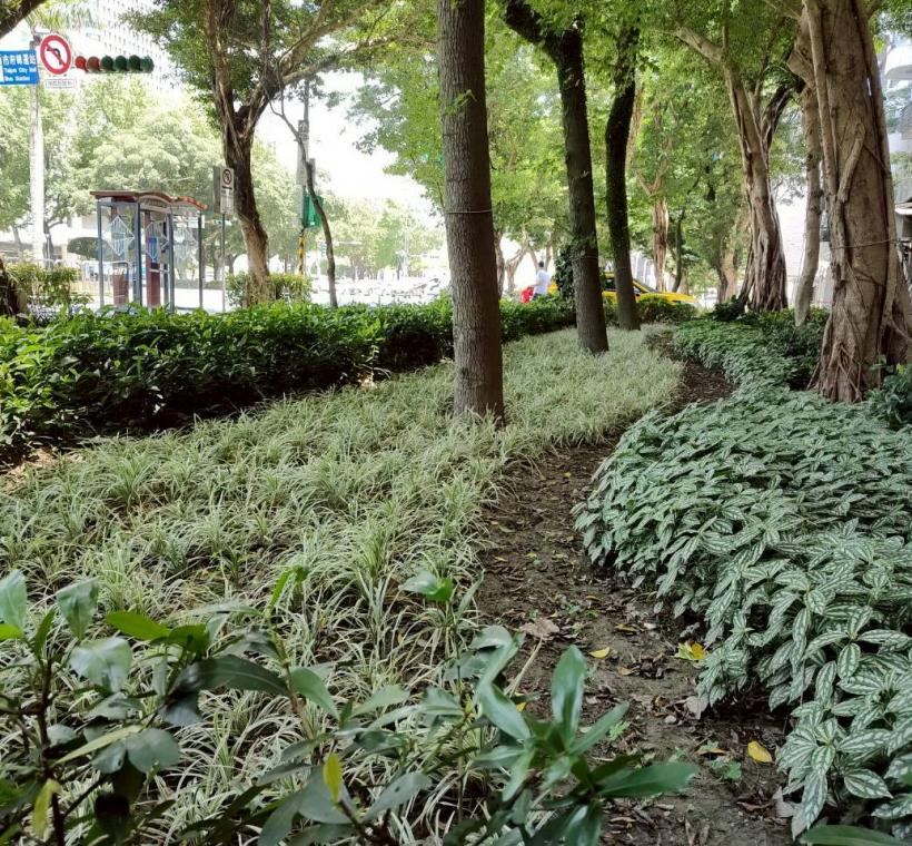 層次分明的耐陰植栽隨著街道與設計鋪展，於綠意間交織出自然、色彩紛呈且富有節奏感的街景畫面