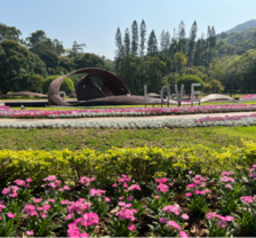 主題園內草花交織的詩意風景