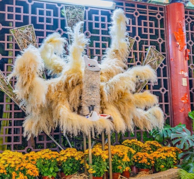 東方動物園展區優雅魅惑的蘆葦九尾狐