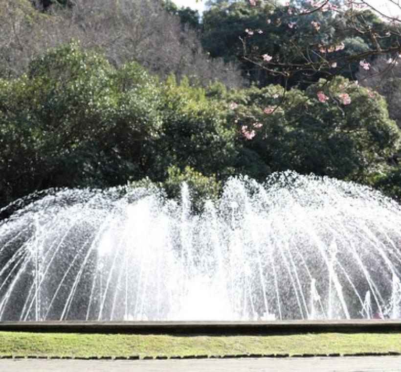 陽明公園噴水池