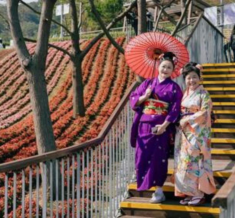 今年花展合作店家推出和服租借服務，邀請民眾換上日式服飾，漫步花海，感受北投的浪漫氛圍。（詳情請見官網或活動摺頁）