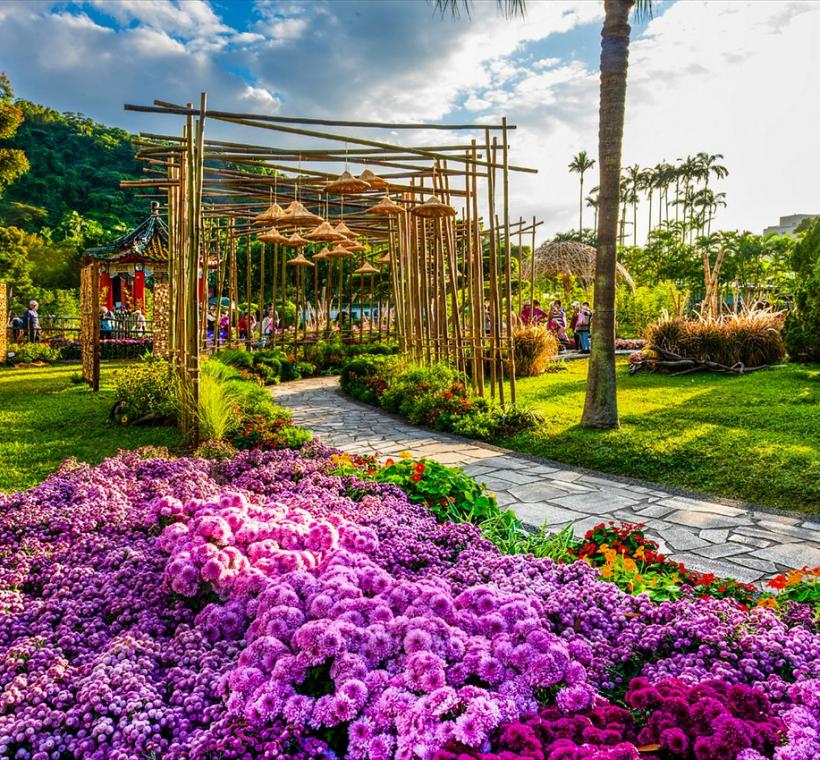 優選-菊蕾奇緣-賴泰霖