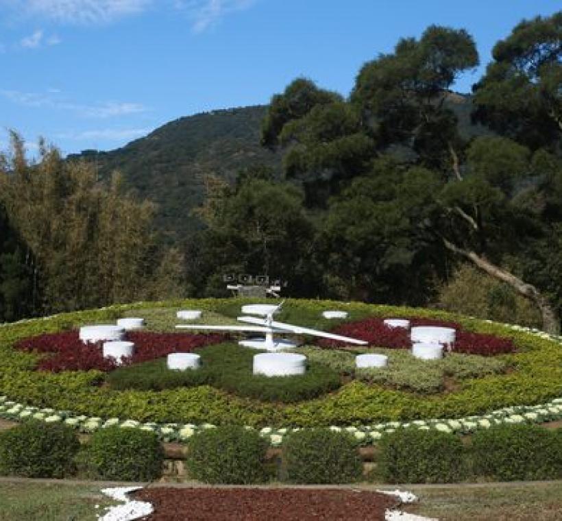 陽明公園花鐘