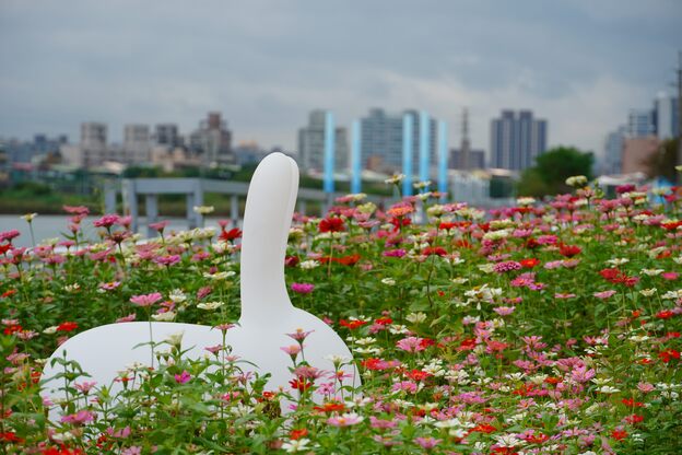 賞花加碼! 關渡花海再增一展區 給你選擇的自由