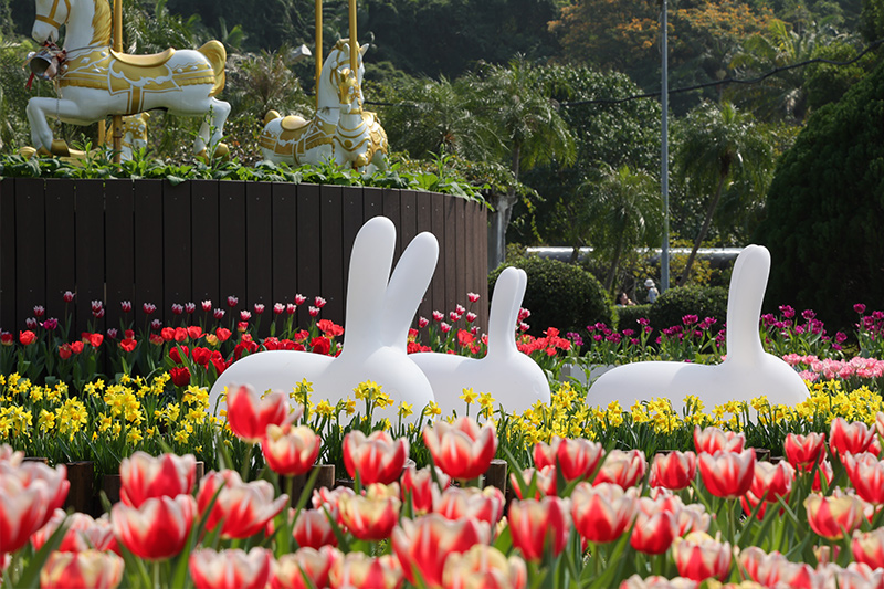 Shilin Residence Tulip Festival
