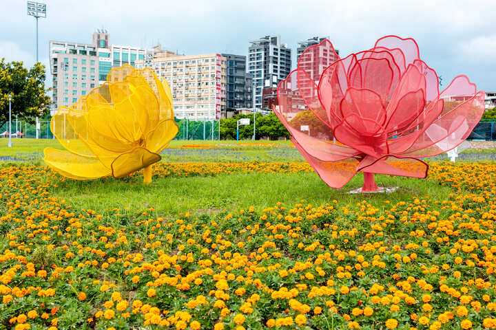 中正河濱公園花海